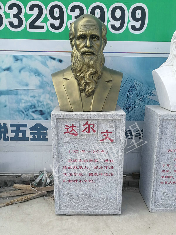 达尔文