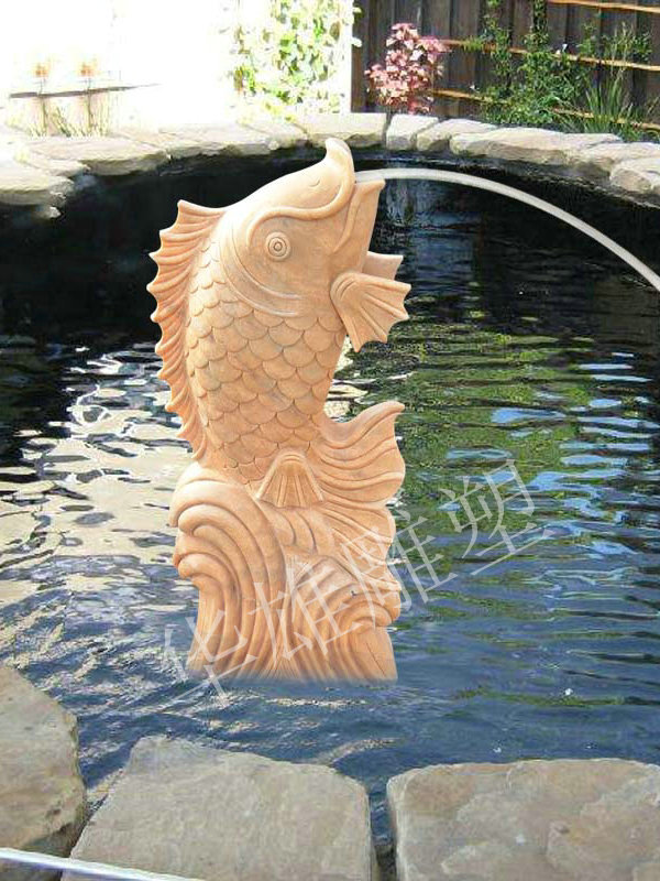喷水金鱼
