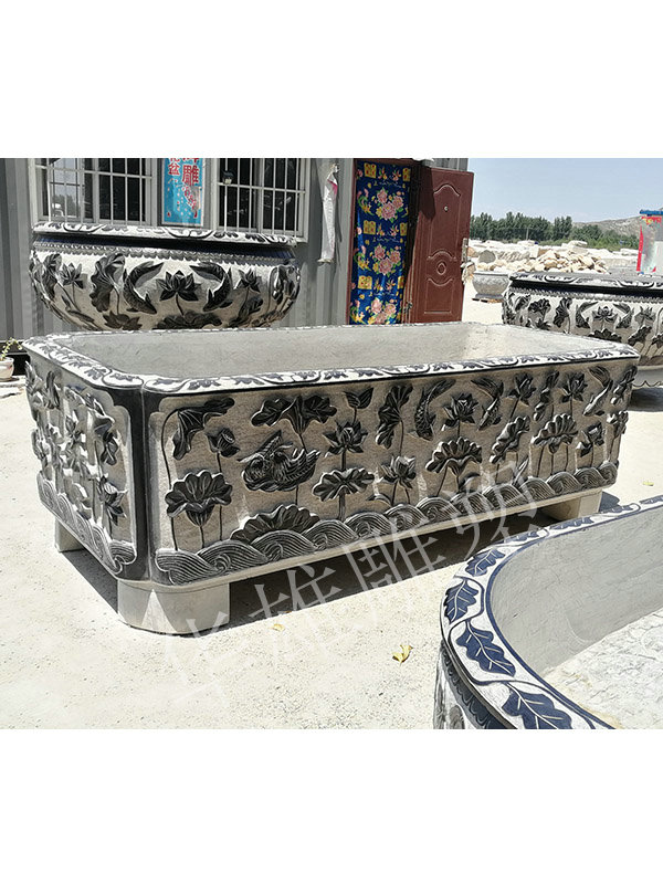 荷花鱼长缸