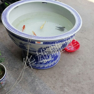 瓷鱼缸盆