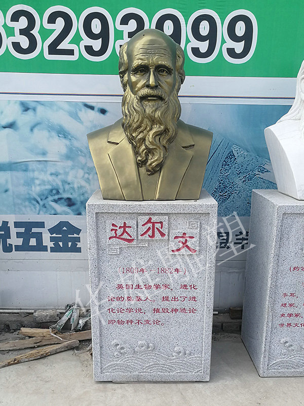 达尔文