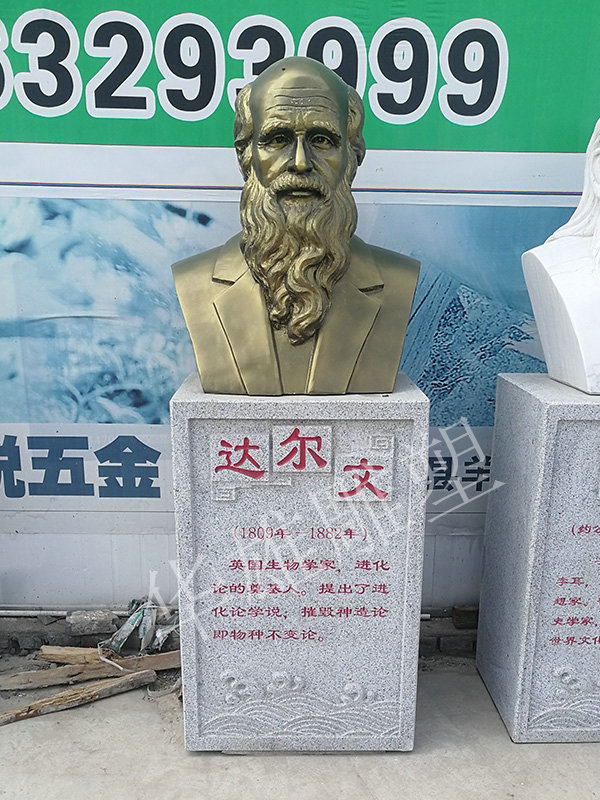 达尔文