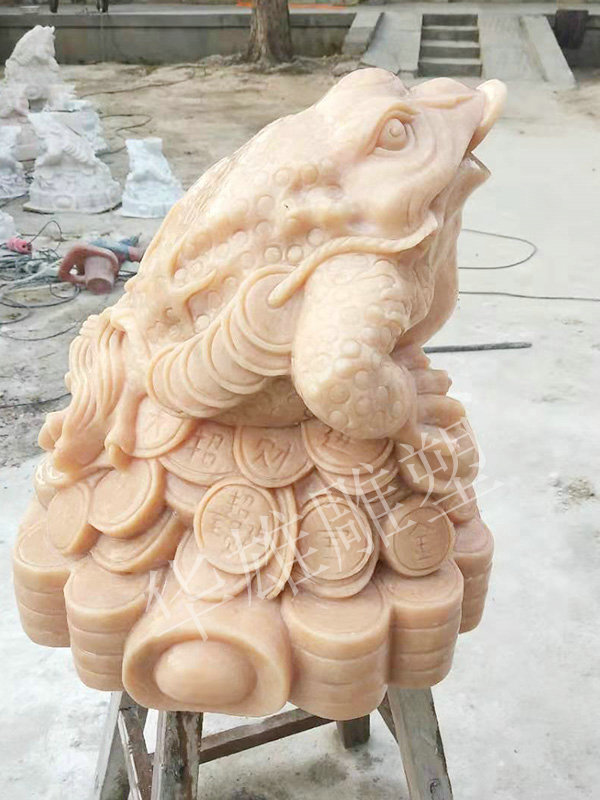 喷水金蟾