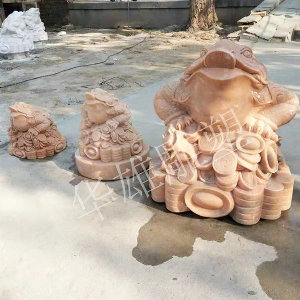 喷水金蟾