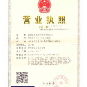 企业资质